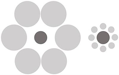 Sizing up the crowd: Assessing spatial integration difficulties in body size judgements across eating disorder symptomatology